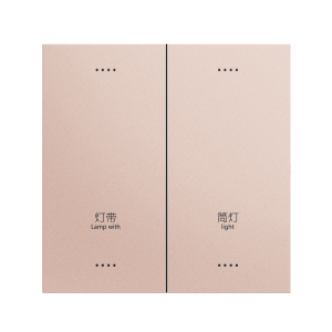 Matte 2 Gang Smart Light Switch Panel, Tuya Zigbee, Multi-Color Options (White/Black/Gold/Grey)