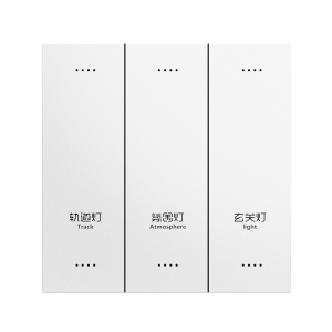 86-Type 3 Gang Smart Switch, LED Indicator, Custom Light Labels, Voice & App Control